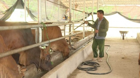 binh lieu quang ninh phat huy hieu qua cac mo hinh kinh te tronng xay dung nong thon moi