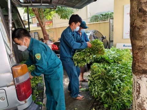 phuong 6 quan go vap mua covid mua cua yeu thuong