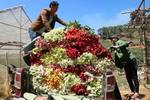 lam dong nang cao gia tri san pham hoa hong lac duong