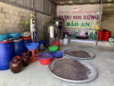 ruou sim rung bao an tu hao la san pham ocop 3 sao an toan va dam bao chat luong