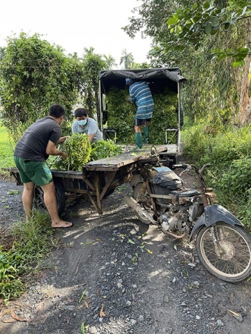 phuong 6 quan go vap tinh nghia quan dan giua mua dich
