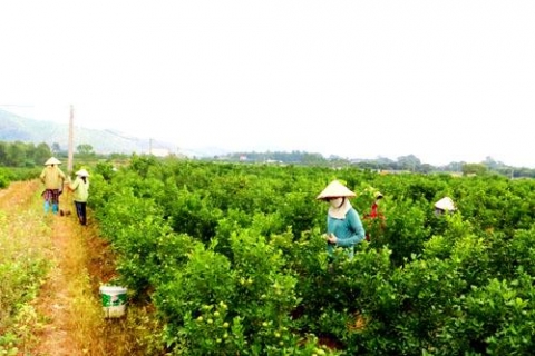 xa binh khe quang ninh gan xay dung nong thon moi voi phat trien do thi