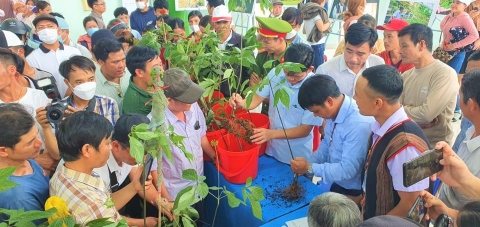 an tuong le hoi sam ngoc linh cay sam 20 nam tri gia 900 trieu dong