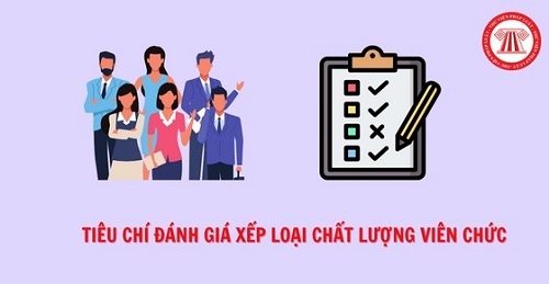 Tiêu chí đánh giá xếp loại chất lượng viên chức năm 2022