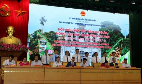 central retail day manh tieu thu nhan long hung yen mua vu nam 2022