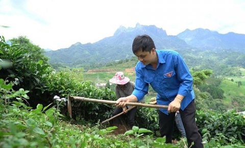 guong sang trong phong trao thanh nien khoi nghiep