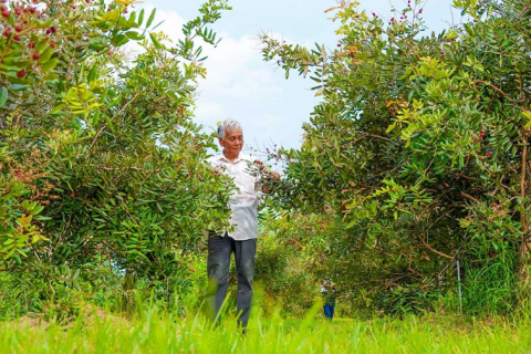 lao nong so huu hai giong nhan la sieu trai ban 15 trieu do ngnhanh