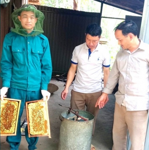 tuyen quang nghe nuoi ong mat thu nhap cao