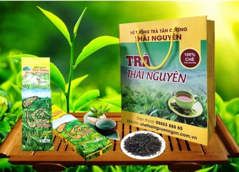 dong luc giup nganh che thai nguyen phat trien ben vung