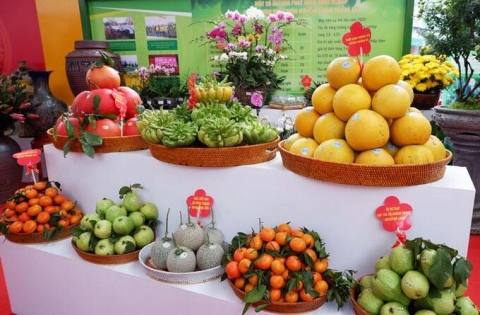 ha noi sap dien ra festival san pham nong nghiep va lang nghe lan thu hai