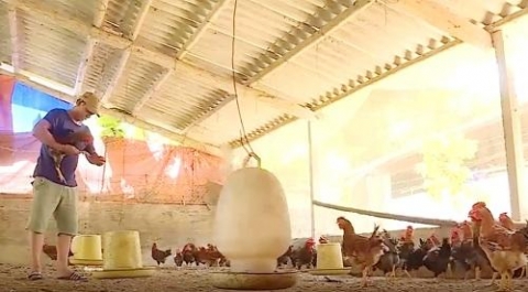 xa ngoc lam nghe an vuon minh phat trien kinh te