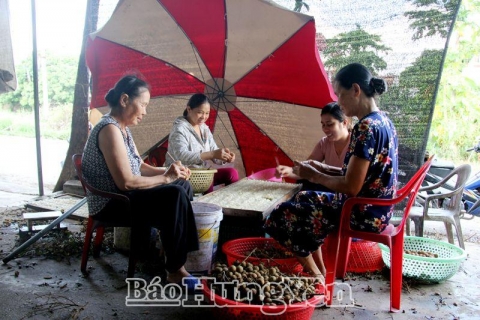 nghe che bien long nhan o hung yen