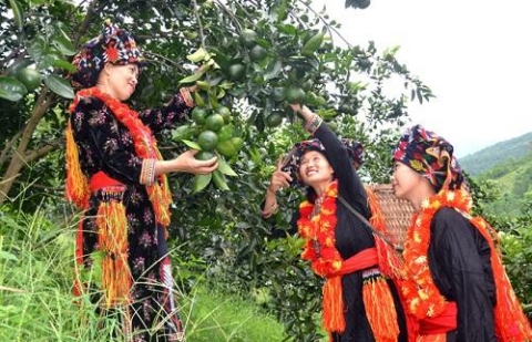 tuyen quang phia xeng lam ocop