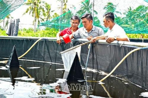 ca mau thanh nien nong thon khat khao khoi nghiep