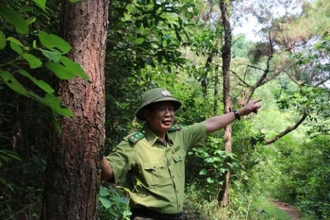 nhieu diem sang trong cong tac phong chay chua chay rung tai tram kiem lam minh quang