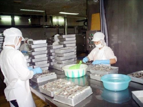 quang ninh huo ng da n co so thu c hie n ke hoach khuyen cong nam 2021