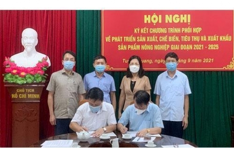 so cong thuong tuyen quang ky ket chuong trinh phoi hop san xuat tieu thu nong san