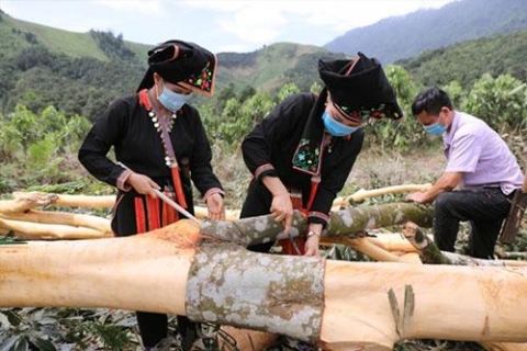 van yenyen bai nong dan lang nghe lam giau tu trong que