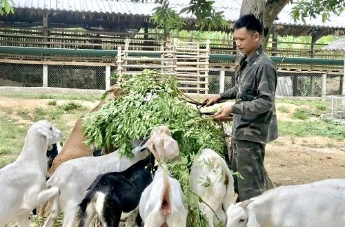 Kỳ vọng phát triển tại trang trại trại dê sữa lớn nhất Việt Nam  Doanh  nghiệp  Vietnam VietnamPlus