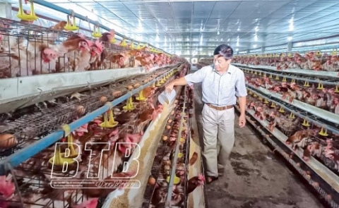 thai binh lan toa tu chuong trinh ocop