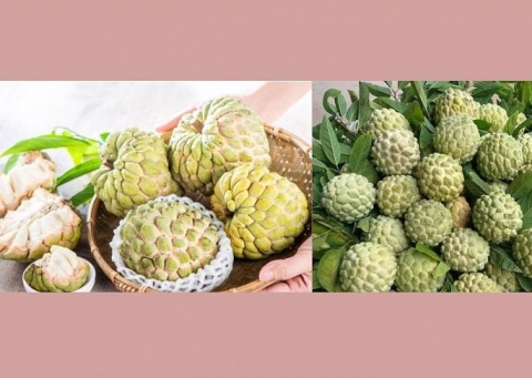 an nhieu na co bi nong hay khong