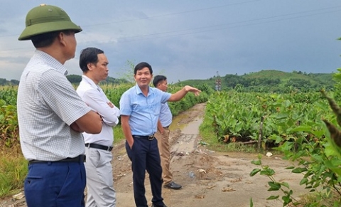 yen bai quan tam dau tu phat trien lang nghe