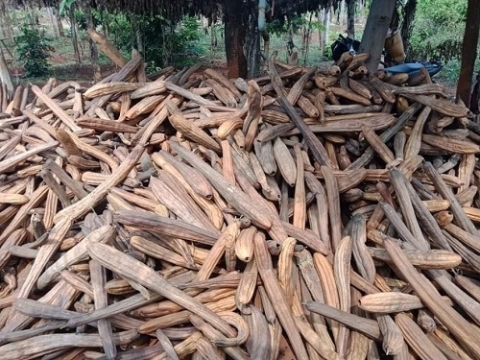 8x khởi nghiệp từ xơ mướp