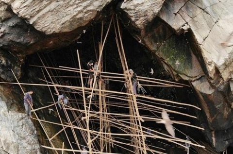 san vat quy cua thanh chau