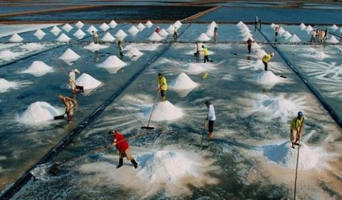 them 23 di san van hoa phi vat the quoc gia