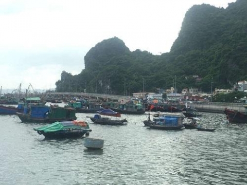 quang ninh chu dong cac bien phap phong chong bao so 7