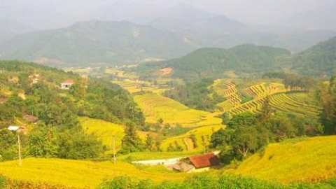 quang ninh cuoc thi anh dep ruong bac thang hoi mua vang binh lieu nam 2020