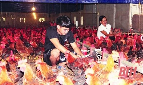 thanh hoa hieu qua tu chinh sach ho tro phat trien nong nghiep va xay dung nong thon moi