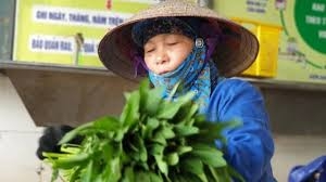 vinh phuc phat trien ben vung cac san pham huu co