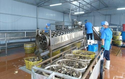 quang ninh phat trien nong nghiep ung dung cong nghe cao