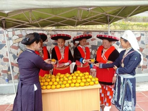 cao bang can quan tam phat trien san pham ocop gan voi du lich