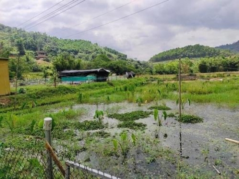khoi nghiep thanh cong tu mo hinh nuoi oc nhoi