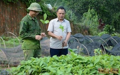nhan rong mo hinh thanh nien kho i nghie p o yen ba i