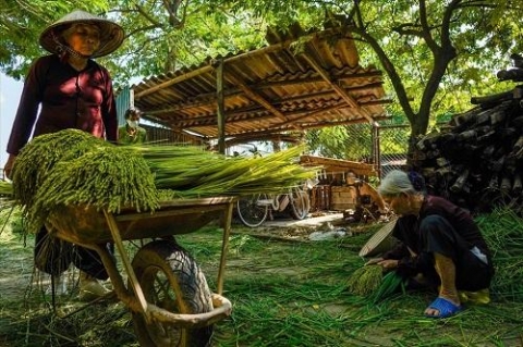 lang com ha noi vao vu lon nhat nam