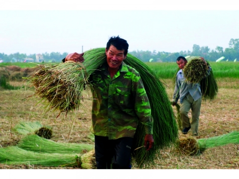 quang xuong thanh hoa niem vui khi mua coi boi thu