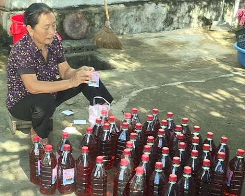 quang binh thu nhap on dinh tu nghe san xuat nuoc mam truyen thong