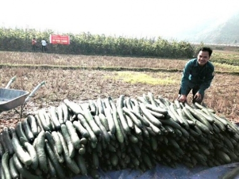 phu tho go kho cho phat trien san pham ocop