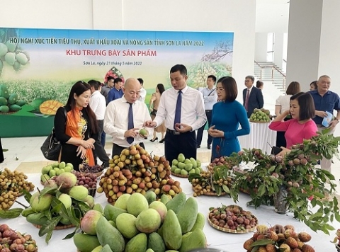 xuc tien thuong mai don bay cho phat trien thuong mai mien nui