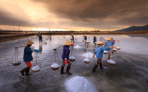 trai nghiem lang nghe lam muoi o bac lieu di san van hoa phi vat the quoc gia