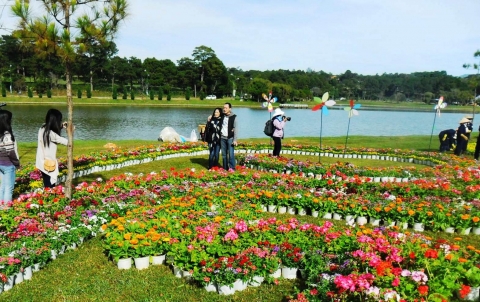 festival hoa da lat 2022