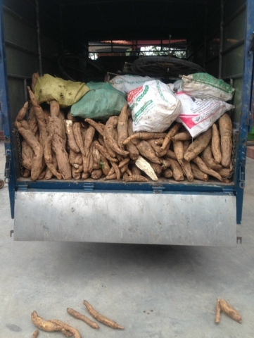 bot san day thanh lang nang gia tri kinh te cho nguoi dan