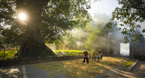 lang nghe tuong mong phu net dep van hoa cua nguoi dan xu doai
