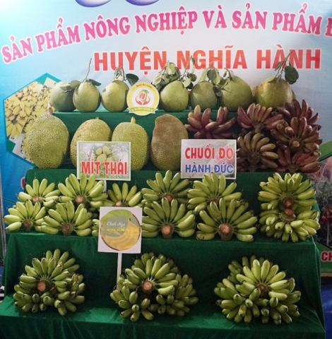 quang ngai tap trung phat trien san pham ocop theo chuoi gia tri