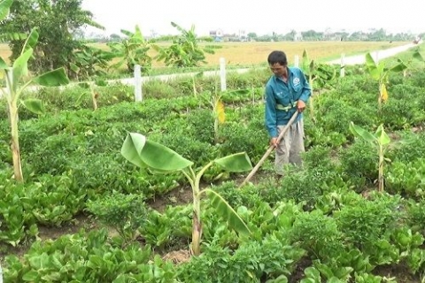 huyen quynh phu thai binh doi thay nho xay dung nong thon moi
