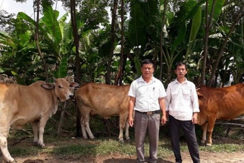 xa van hoa huyen tuyen hoa quang binh day manh phat trien kinh te xa hoi nam 2018