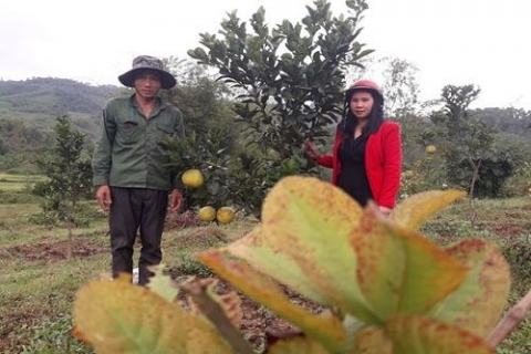 xa hong hoa quang binh hoan thanh thang loi nhiem vu kinh te xa hoi nam 2018
